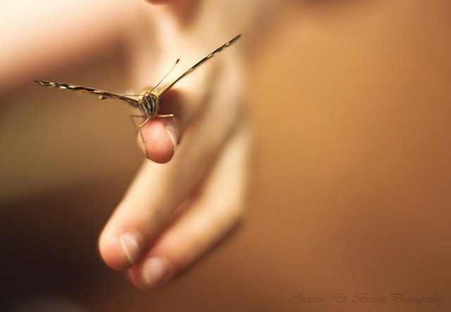 ddos攻击器安卓ios下载